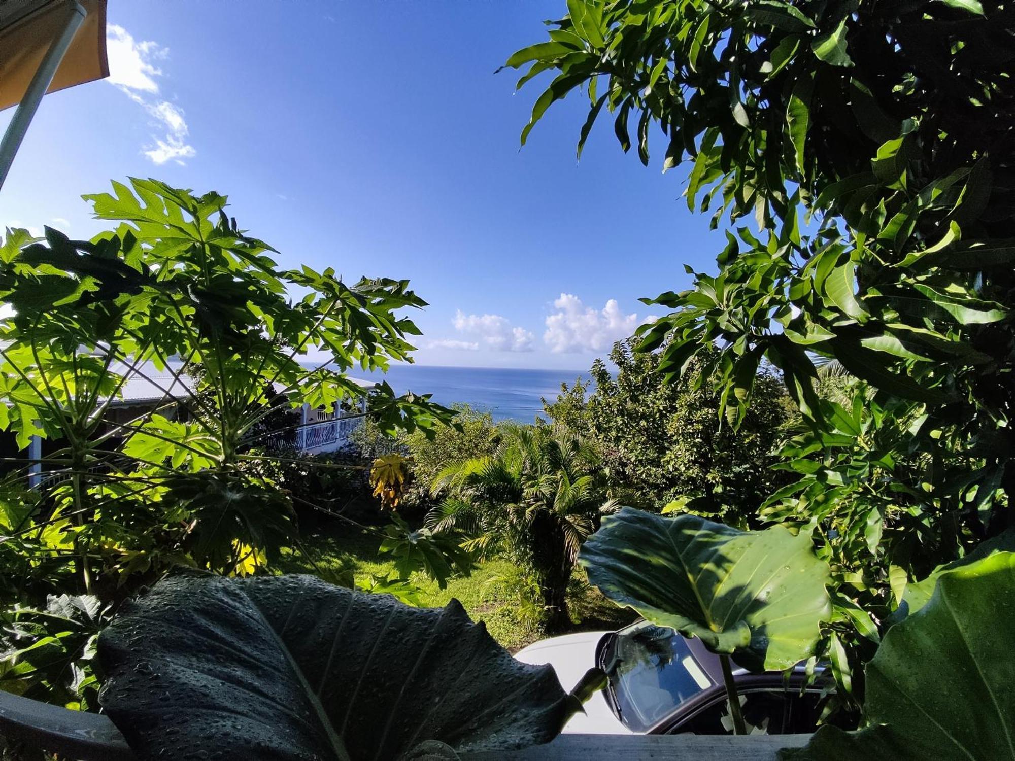 Bungalow With Sea View In デエエ 部屋 写真